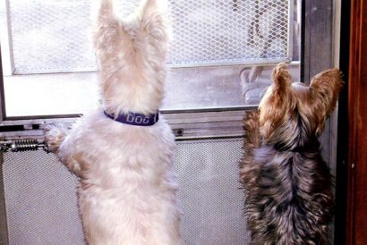 Open Session: July/August 2010 Image